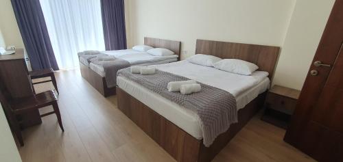 Elnetsa Inn Kazbegi in Kazbegi