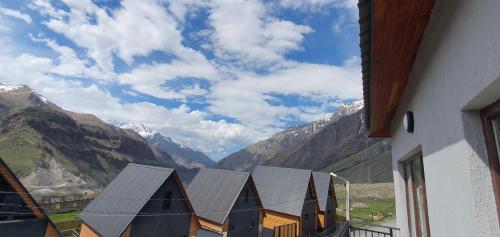 Elnetsa Inn Kazbegi in Kazbegi