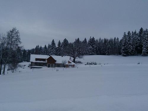Apartmány Kuřátko - image 11