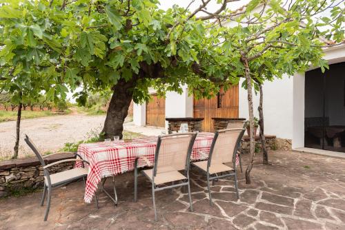 A szálláshely kívülről, Mas de Paco, Chimenea, barbacoa y piscina in Vall D'Alba