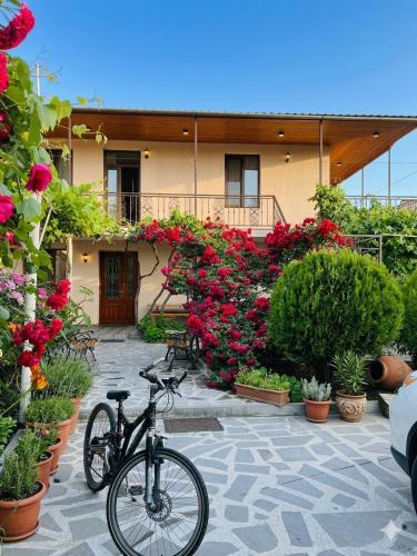 vardzia Guesthouse Mtkvari