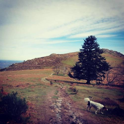 Studio in the heart of the Basque mountains in Espelette
