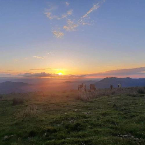 Studio in the heart of the Basque mountains in Espelette