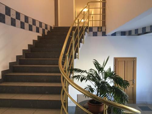 Rooms & Apartments Banjac 3