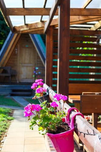 Rooms & Glamping Lana Haus in Ličko Petrovo Selo