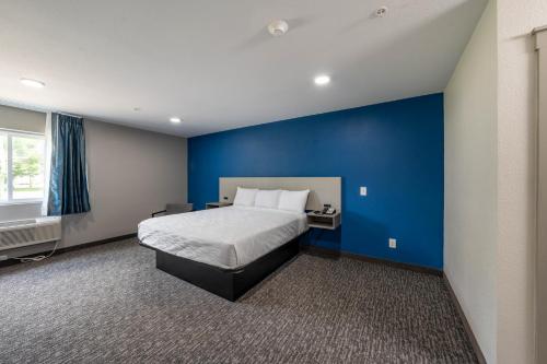 Hummingbird Hotel - image 5