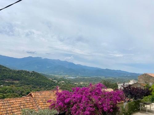 T1 avec terrasse - Saint-Florent in Oletta ciems