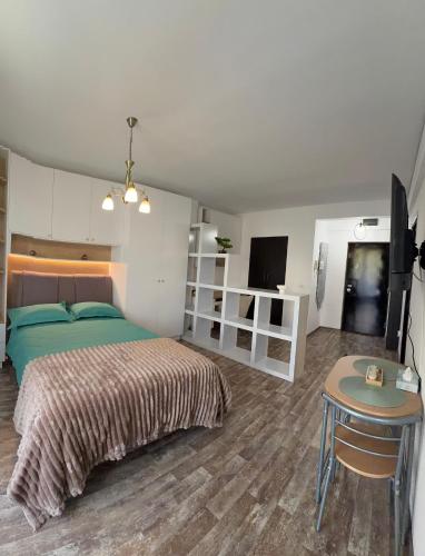 Apartament 1 cameră – khách sạn tại Steaua - Fratelia