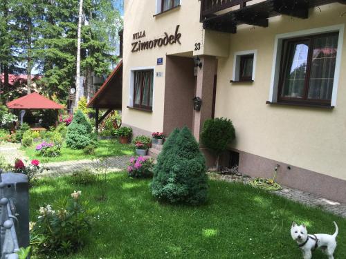 Zimorodek SUPERIOR z BALKONEM Szum lasu i strumyka Szlaki Aquapark, Karpacz