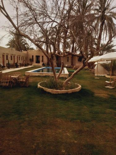Udsigt, Erighin siwa hotel in Siwa