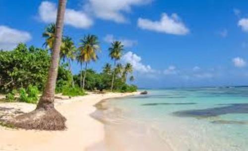 plage, Paradies Caraïbes I (Paradies Caraibes I) in Les Abymes