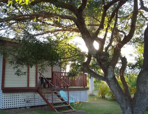 花園, Auberge de Poé (Auberge de Poe) in 布拉伊
