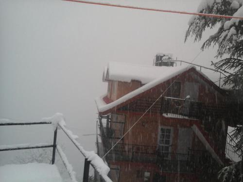 Shimla View Home