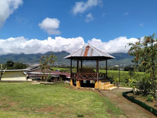 Hobbit Hill - Ruteng