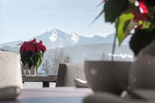 Hotel HARNAŚ dla dorosłych z widokiem na Tatry