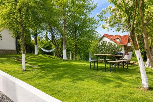Casa Bando in Dalnic