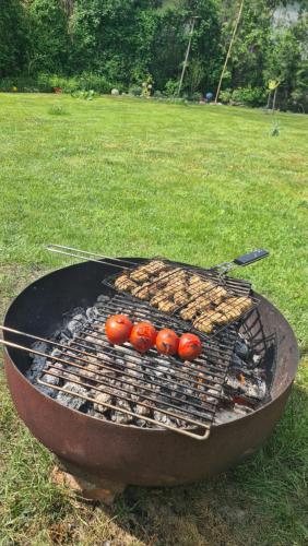 Camping - Bring your tent or van and experience our club! in Puntigam