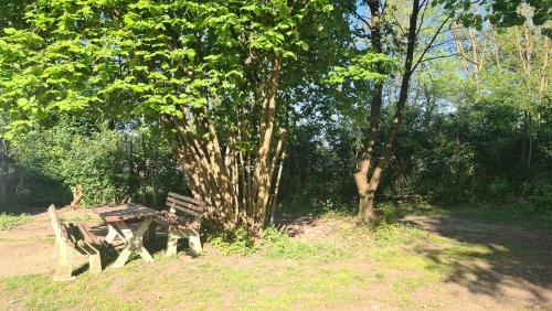 Camping - Bring your tent or van and experience our club! in Puntigam