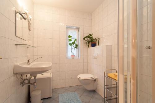 Lug ins Land - image 5