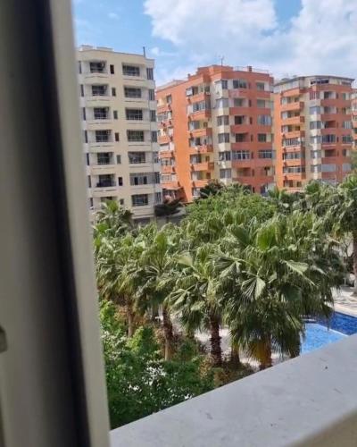 Shengjin City Apartment 1 in Shengjin