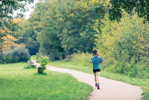 ibis Mulhouse Centre Filature - image 6