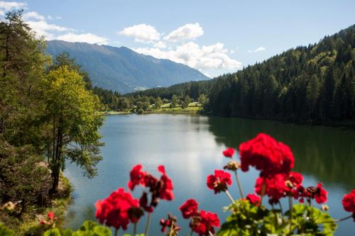 Parkhotel Tristachersee