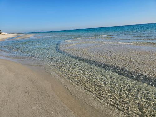 Appartement pied dans l'eau in Chatt Mariem