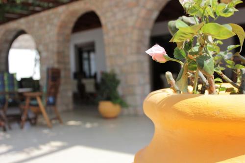 Hotel Delfini – Adamantas
