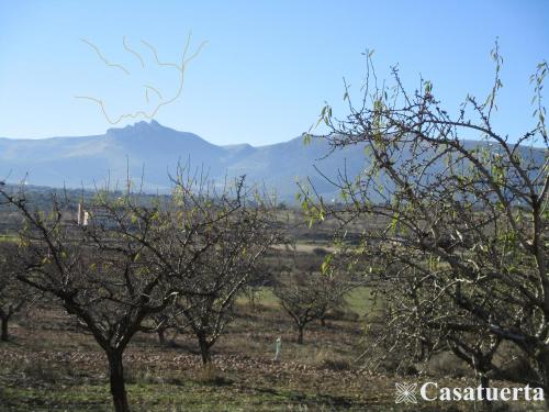 Casa Tuerta