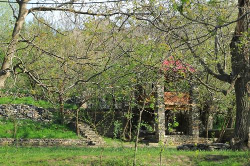 Rahima's Guest House in Forish