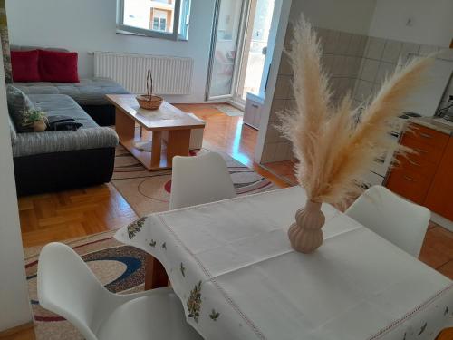 Apartman CENTAR in Требін