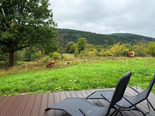 Ferienpark Ziegelhütte (Ferienpark Ziegelhutte) in Florsbachtal