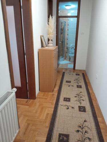 Apartman CENTAR in Требін