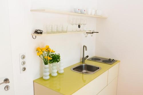 ห้องครัว, Design Apartments in Park in โคฮูโตวิเซ