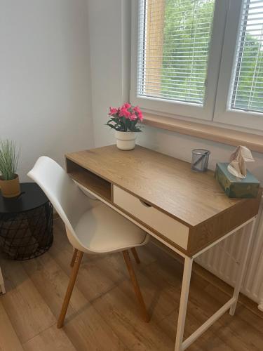 Apartmán Třinec (Apartman Trinec) in Vendrine