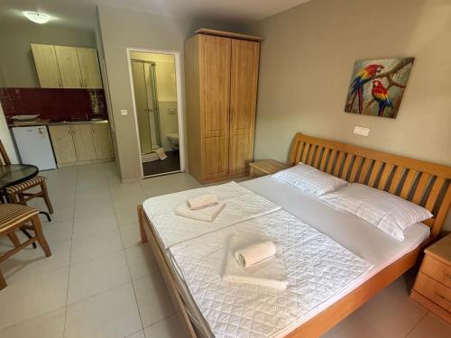 Adzic apartments 2