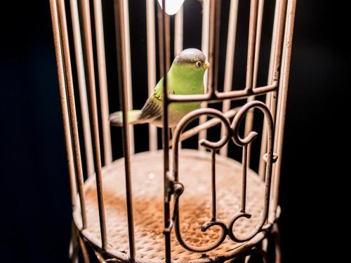 1er Etage SoPi - image 11