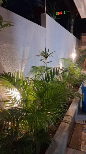 Royal Homestay Siliguri photo 4
