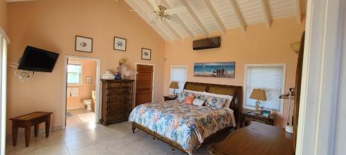 Tropical Palm Villa in Smith Bay