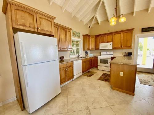 virtuvė, Tropical Palm Villa in Smith Bay