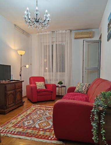 Modern 2-room Oasis in Old-town Belgrade