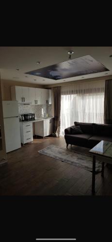 Birds inn 3
