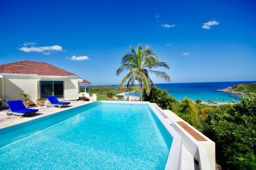Oceanview Luxury Villa with Infinity Edged Pool in 弗里敦