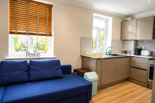 Evergreen Apartments, Flat 3, London, Londra