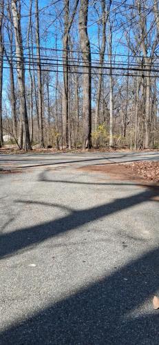 Walnuts in Owings Mills (Maryland)