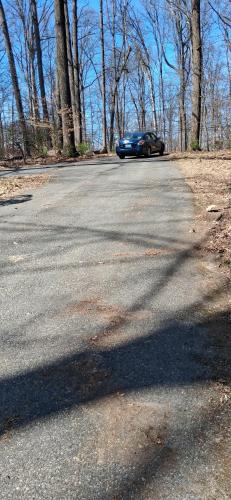 Walnuts in Owings Mills (Maryland)