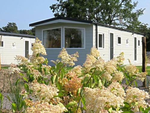 Holiday home in Mol with terrace and Wi-Fi gîte à louer Rauw