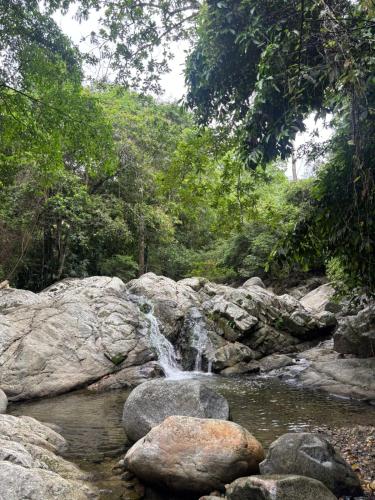 Hostal Nomadax Tayrona