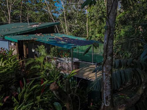Cabaña la Fulanita del bosque #1 – khách sạn tại Palma