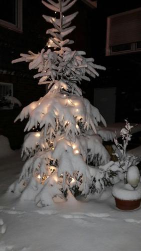 สวน, Ferienwohnung Ohmeis in โมลล์ไซเฟิน